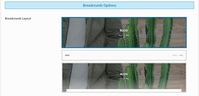 Opciones de Breadcrumb en Encabezado